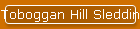 Toboggan Hill Sledding