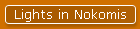 Lights in Nokomis