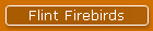 Flint Firebirds