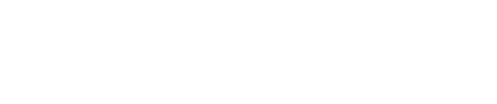 Holly Tree Lighting