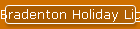 Bradenton Holiday Lights